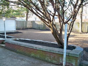 Overgrown Shrubbery Removed